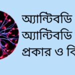 অ্যান্টিবডি কি? অ্যান্টিবডি কত প্রকার ও কি কি?